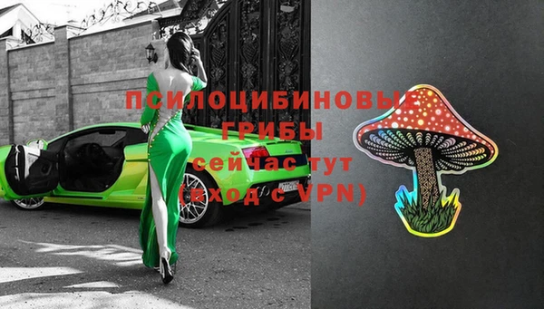 винт Алзамай