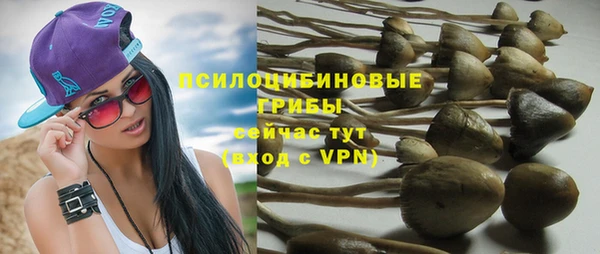ALPHA PVP Алексеевка