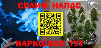 гидропоника Славянск-на-Кубани