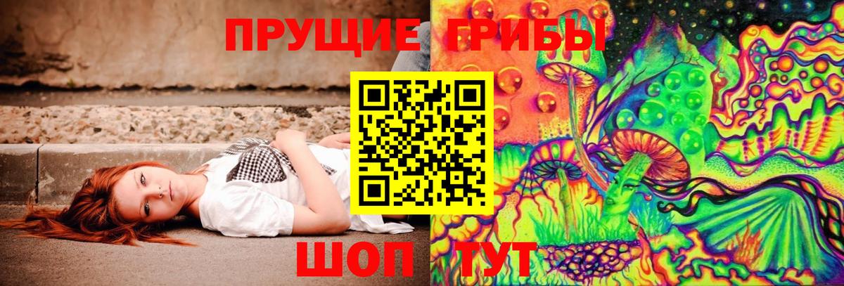 Полысаево  Галлюциногенные грибы GOLDEN TEACHER  Псилоцибиновые грибы Psilocybine cubensis  Вход с VPN 