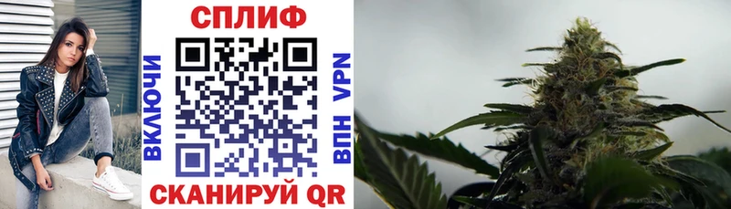 Канабис индика  Полысаево 